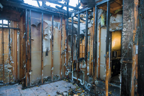 Professional Fire Damage Removal technician working in Collinsville, IL